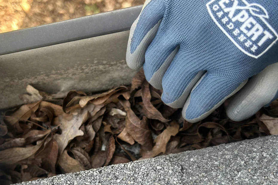 Gutter Cleaning Lake Purdy