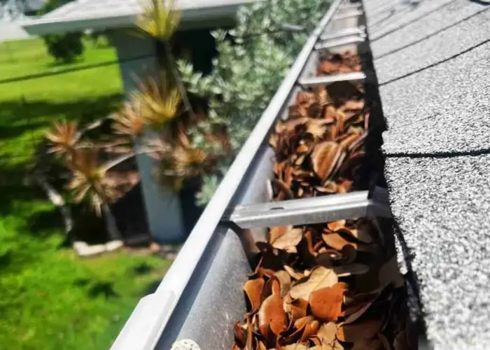 Gutter Cleaning Lake Purdy home page